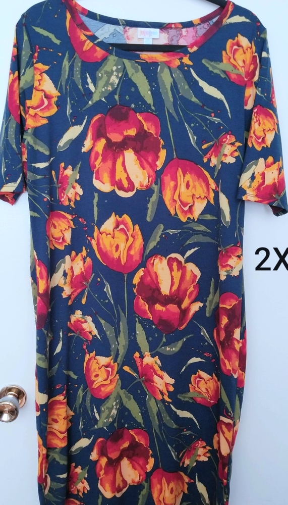 LuLaRoe Carly Dress